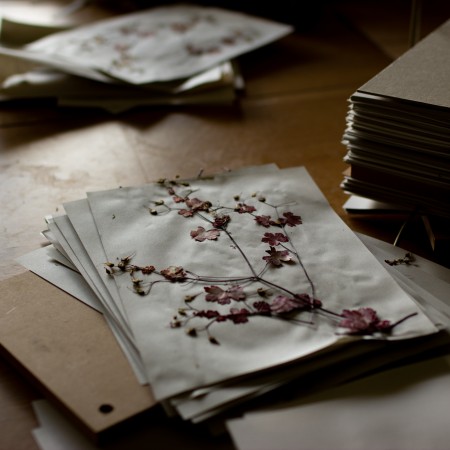 CORE CLASS: PRESSING FLOWERS