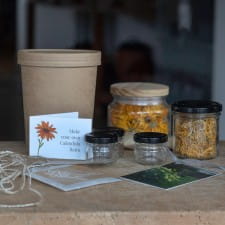 Craft Kits