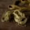 Undyed cotton embroidery threads - Pack of 6