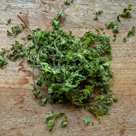 Sweet Cicely – Dried Plant Dye Material (Garden Harvested)