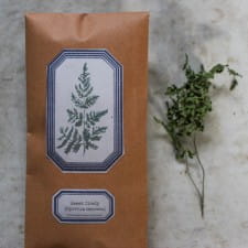 Sweet Cicely – Dried Plant Dye Material (Garden Harvested)