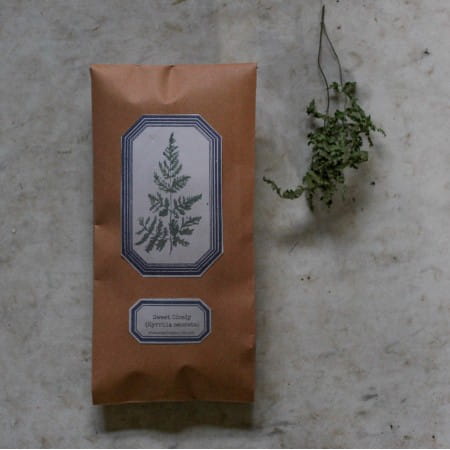 Sweet Cicely – Dried Plant Dye Material (Garden Harvested)