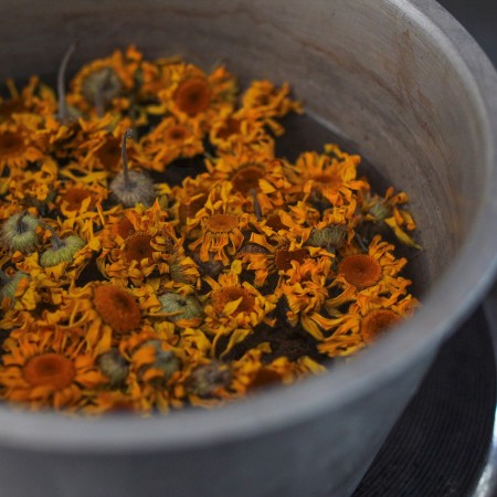 Plant Dyes: Dyer's Chamomile Flowers