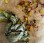 Bundle Dyeing: November Studio Companion