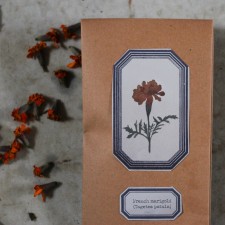 Plant Dyes: Dried Tagetes flowers