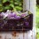 Buddleia Flowers – Dried Plant Dye Material (Garden Harvested)