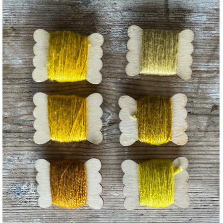Thread: Tansy