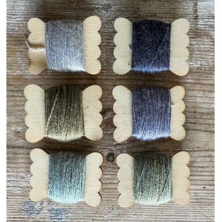 Thread: Hopi sunflower dark