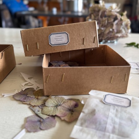 Pack of ten pressed hydrangea florets