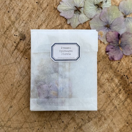 Pack of ten pressed hydrangea florets