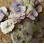 Pack of ten pressed hydrangea florets