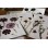 Herbarium Pressed Flower Collection : For Eco printing