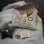 Quilted Envelope Kit – June Studio Companion