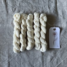 Pre-Mordanted Mini Skeins – DK Wool, Set of 5 (20g Each)