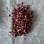 Organic Dried Rose Petals – Food Grade (Envelope Pack)