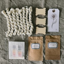 Food Waste Dye Supplies: Course Companion