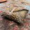 Touchstone Pouch Supplies – Course Companion