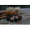 Felt bead making kit with vintage wool yarn, natural dye flowers and silk cord in glassine packaging