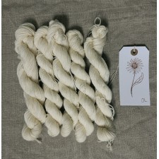 Pre-Mordanted Mini Skeins – 4 ply Wool, Set of 5 (20g Each)