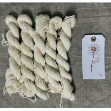 Pre-Mordanted Mini Skeins – DK Wool, Set of 5 (20g Each)