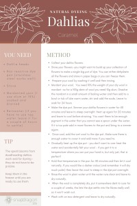 dyeing with dahlia flowers