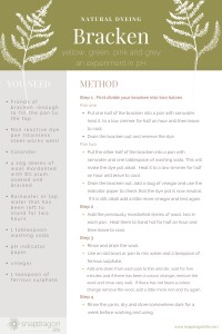 how to dye yarn with bracken