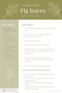 How to dye with fig leaves
