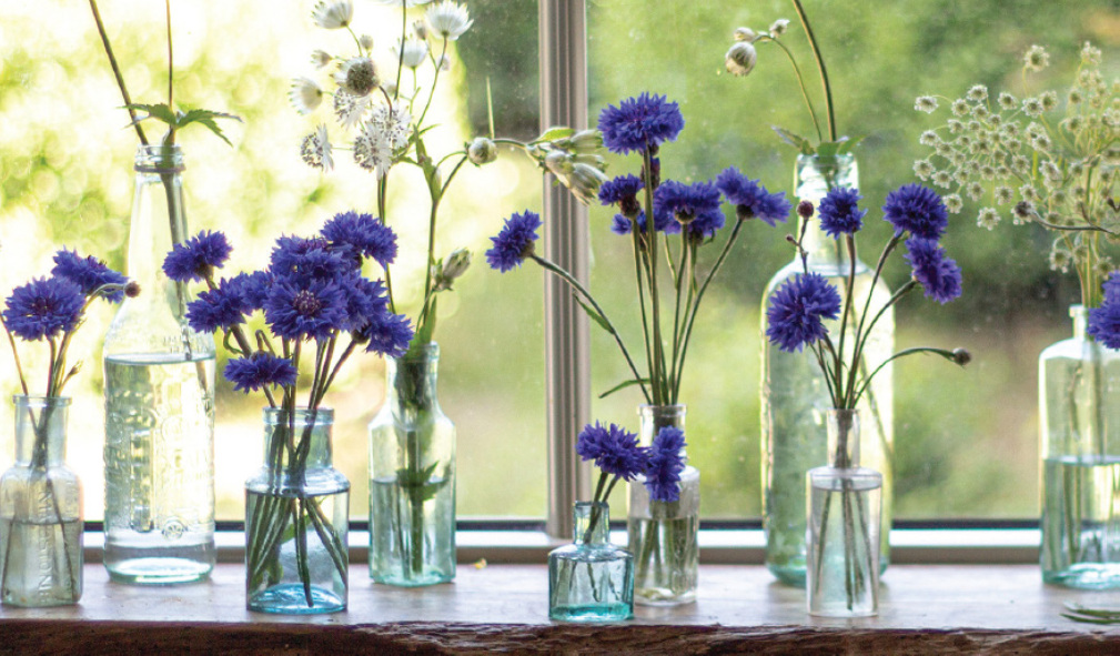 Cut Outs of Flowers Leaves & Vases