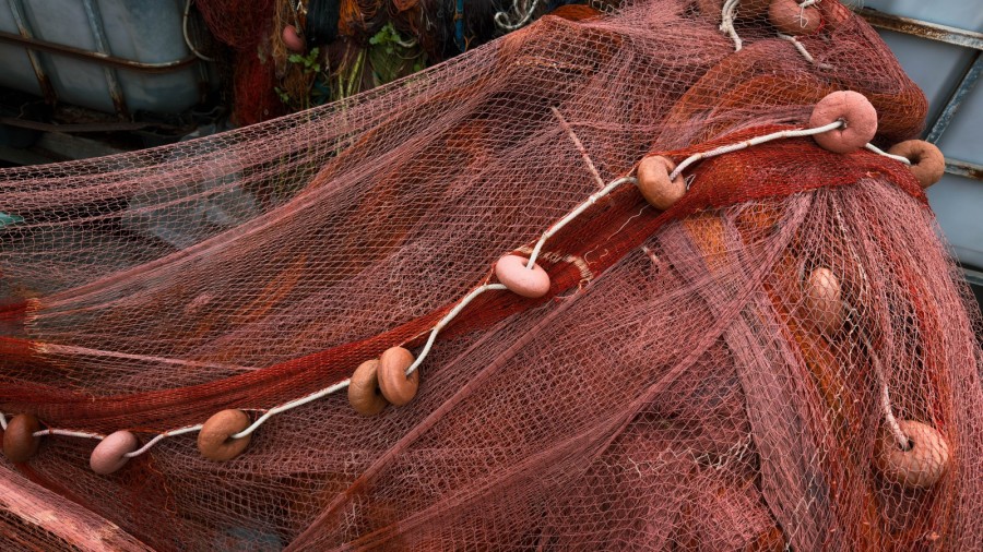 artist inspiration naples