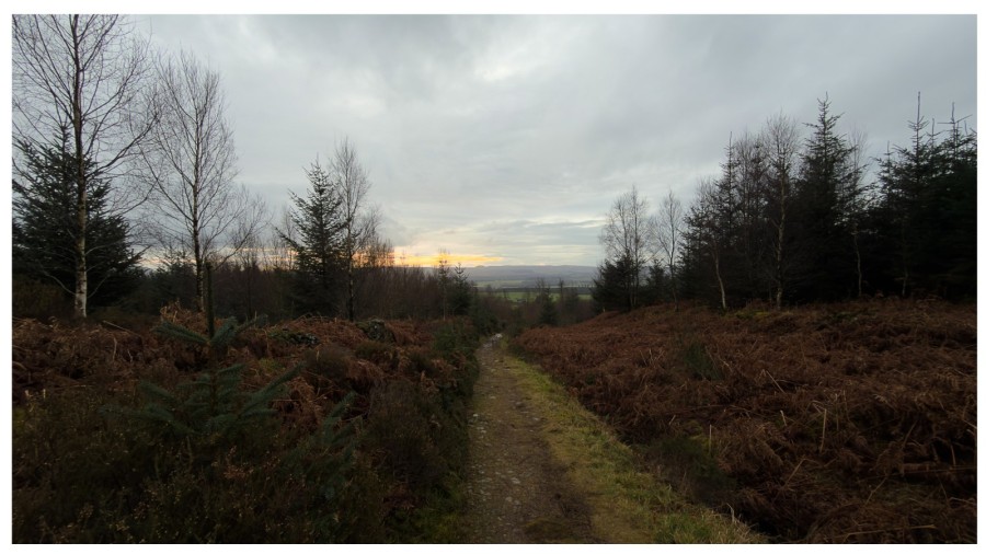 path in winter scottish highlands