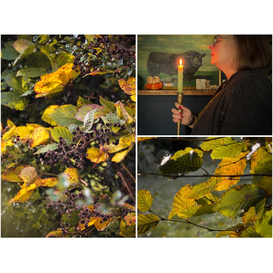 Beyond Halloween Folklore: What Autumn Actually Shows Us