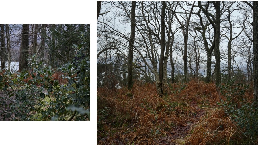 midwinter walk loch lomond