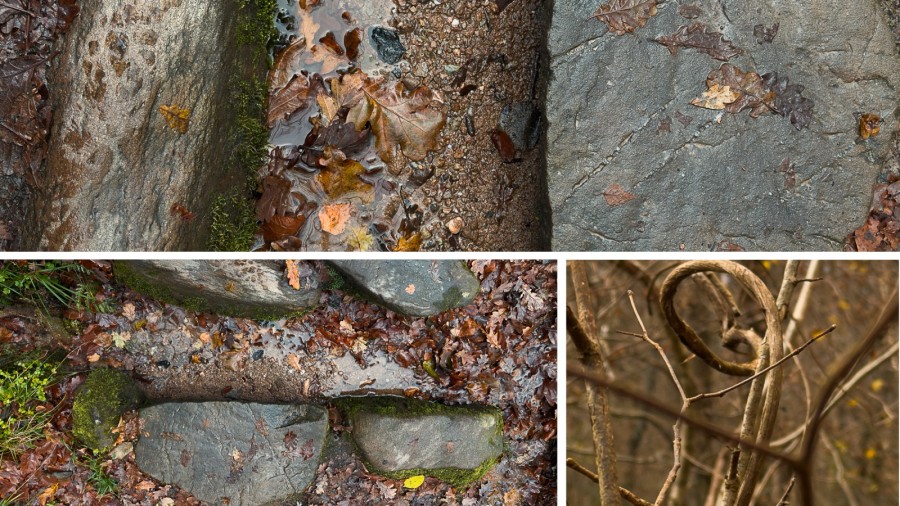 water and stepping stones, Loch Lomond, Scotland