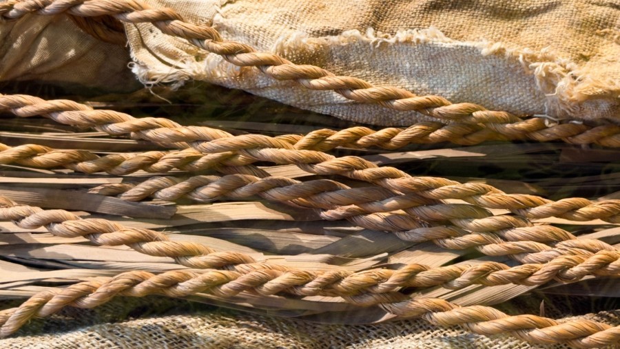 egyptian cordage