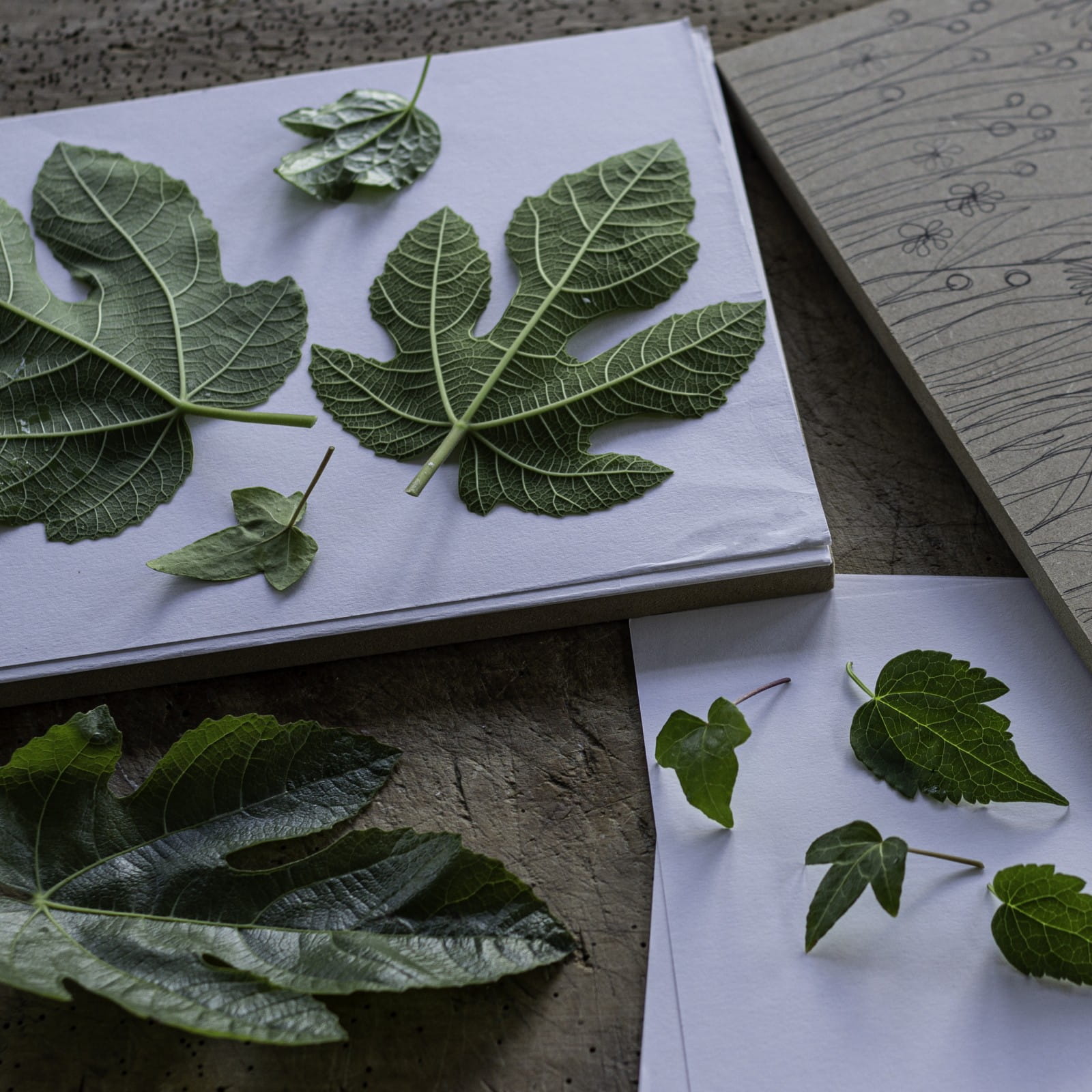 Natural Gift Wrapping 1 Pressing Leaves Snapdragon Life