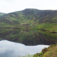 A note on wild swimming