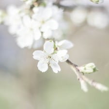 3 ideas for getting into the flow
