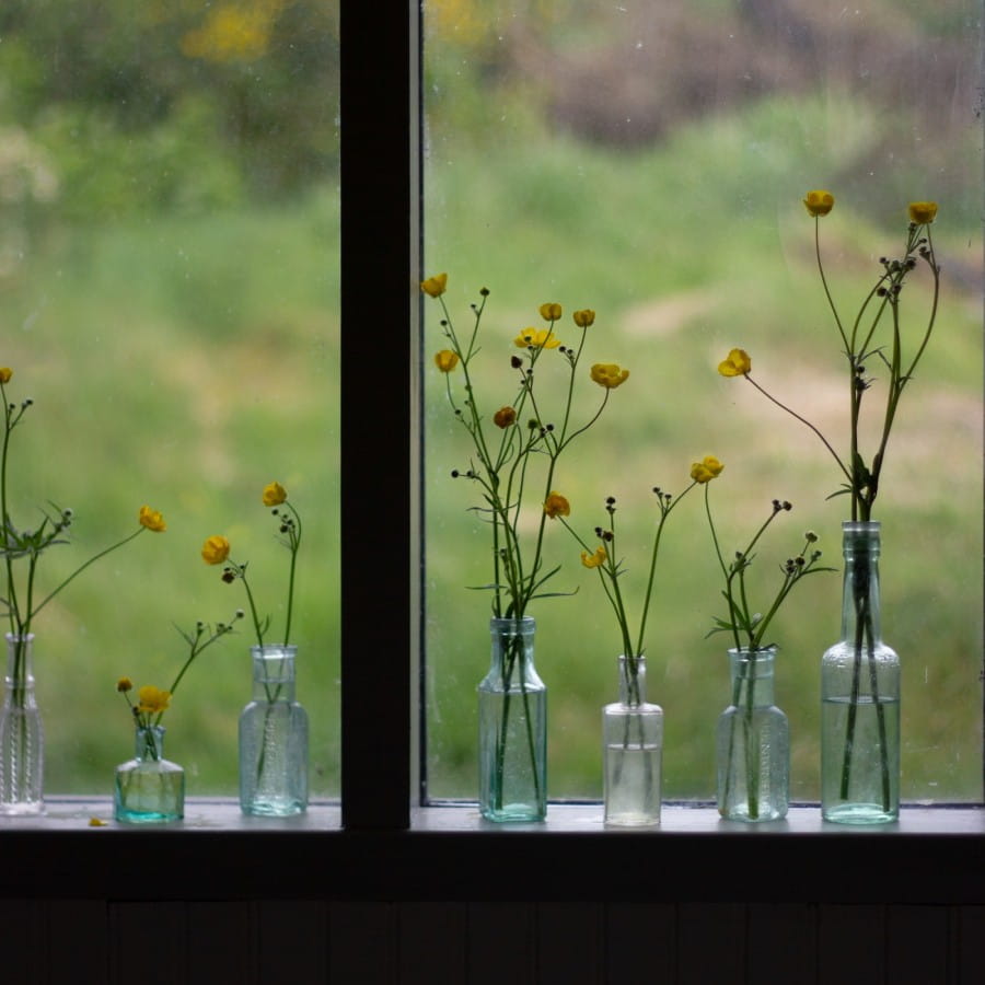 bottles of meadow buttercups
