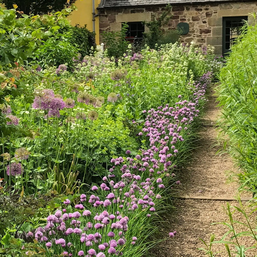 broadwoodside garden