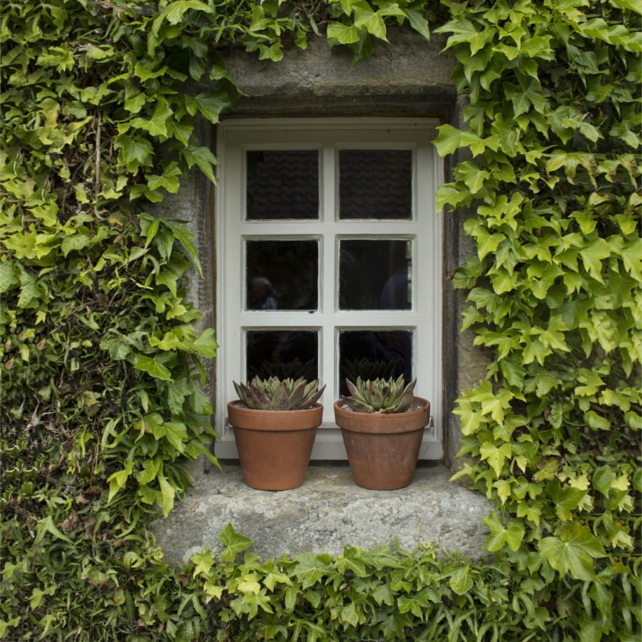 broadwoodside garden