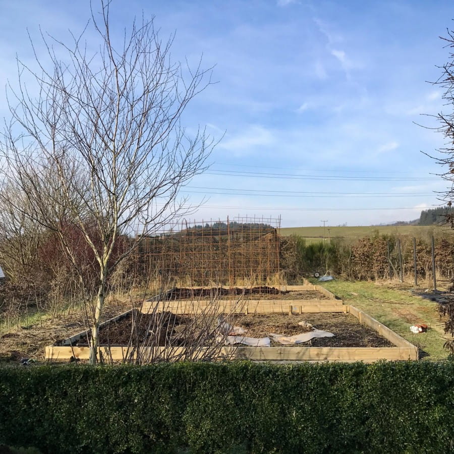 making a cutting garden