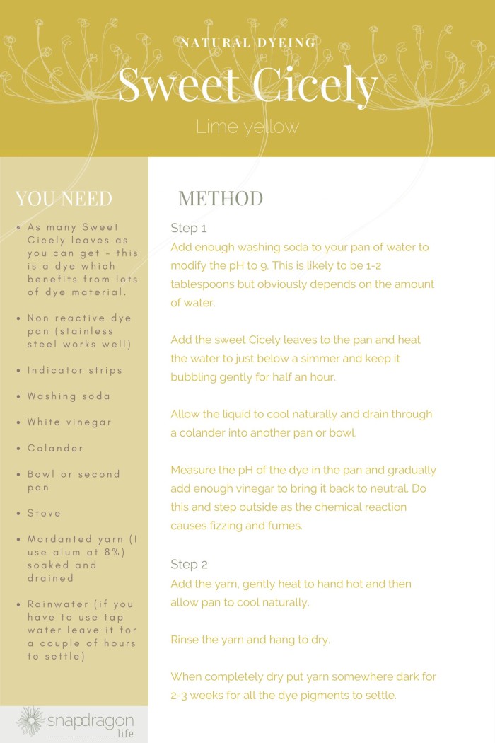 downloadable PDF instructions on how to dye with sweet Cicely