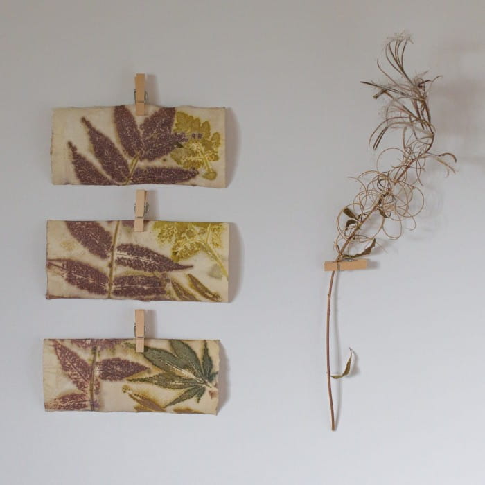 eco printing with leaves on paper uk