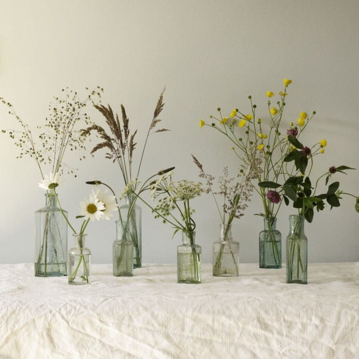foraging for grass and other flowers