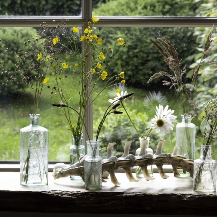 foraging for grass and other flowers