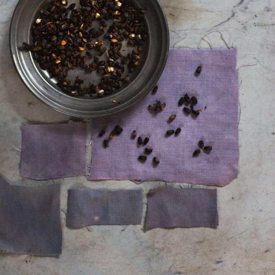 Linen dyed with hopi sunflower seeds