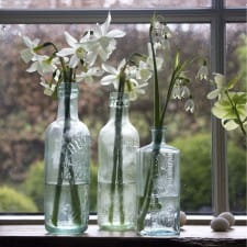 The windowsill flower arrangement - white