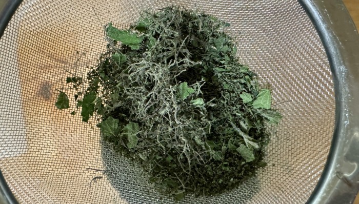 drying nettle seeds