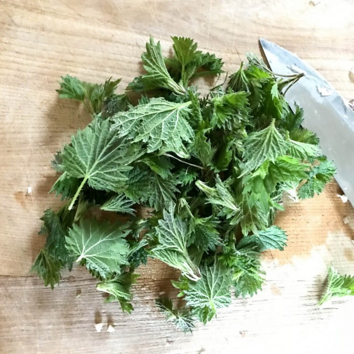 foraging for nettles