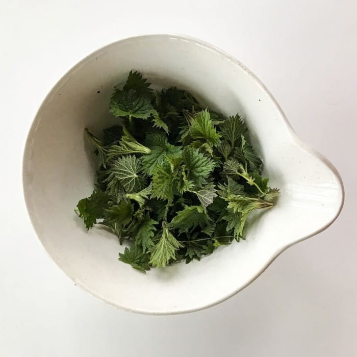 foraging for nettles